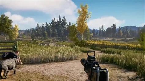 Far Cry 5 Companions Guide All Companions Locations Abilities Where