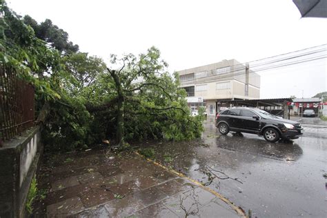 Temporal Causa Preju Zos E Transtornos Em Bento Jornal Seman Rio