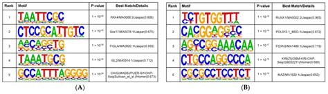 DNA Methylation Differences In TYAs Across Medulloblastoma Molecular