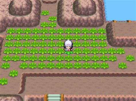 Pokémon Platinum: Pal Park Guide (Location + How It Works) - Guide Strats