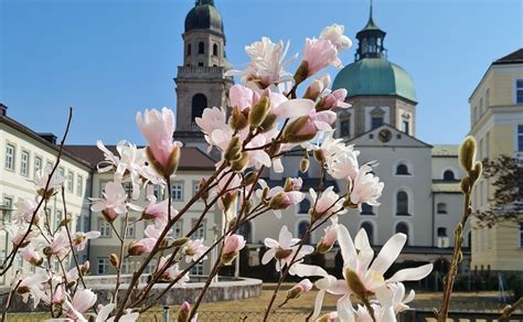 Innsbruck Tagung Unterstreicht Relevanz Von Religion