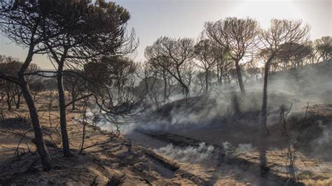 El Parque Nacional de Doñana se salva de momento del fuego