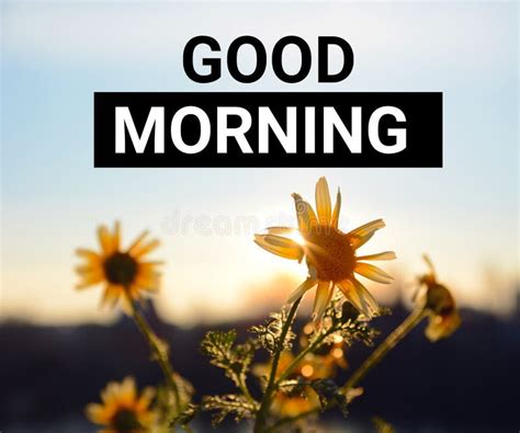 Good Morning Title On A Sunrise Background With Yellow Flowers And Sun