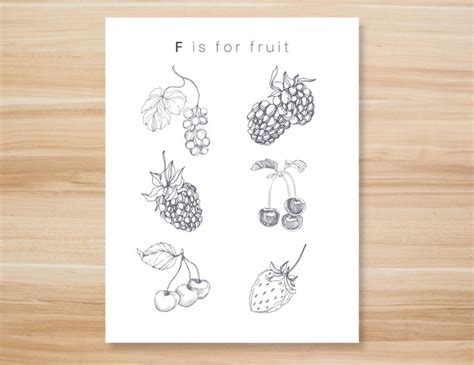 Fruit Coloring Sheet - Etsy