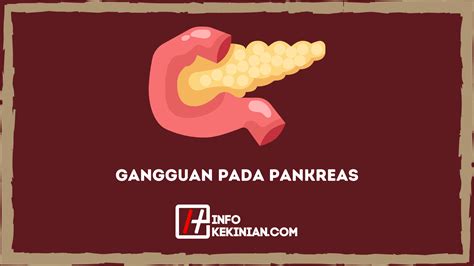 Gangguan Pada Pankreas Fungsi Anatomi Cara Merawatnya