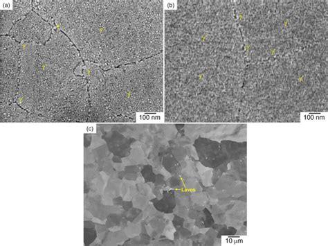 (a) High magnification SEM in-lens image of BM, (b) high magnification ...