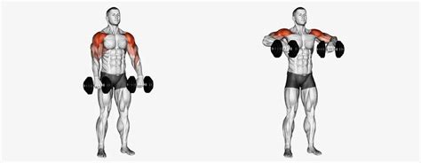 6 Best Shoulder Workouts With Dumbbells: Forms and Mistakes | RitKeep ...