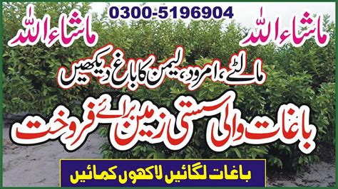 Land For Sale Gardens Land For Sale Acer Cheap Land In Pakistan