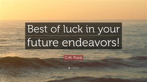 C M Punk Quote “best Of Luck In Your Future Endeavors ”