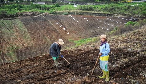 400 000 Hektare Lahan Hijau Jawa Barat Beralih Fungsi Jadi Tambang Dan