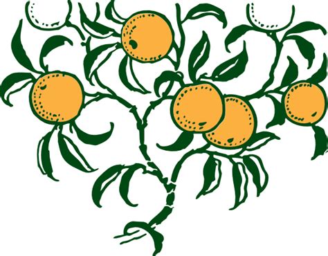 Orange Branch Clip Art At Vector Clip Art Online Royalty