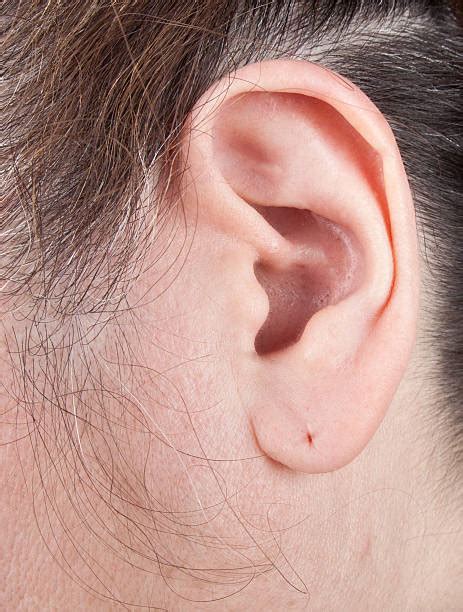 50 Pierced Human Ear Hole Body Stock Photos Pictures And Royalty Free