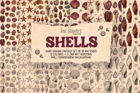 Shells Patterns (2596769)