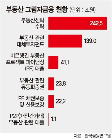 건전성 규제 사각지대 부동산 그림자금융 469兆 금융硏 부동산 리스크 보고서