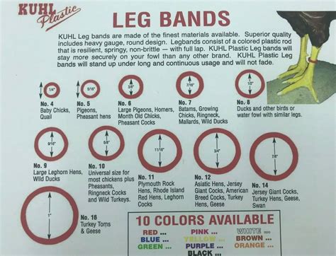 Poultry Leg Bands