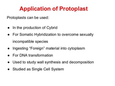 Protoplast Culture