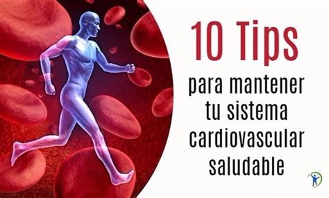 10 Tips Para Mantener Saludable Tu Sistema Cardiovascular