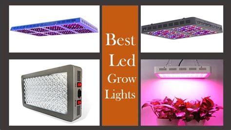 Top 16 Best Led Grow Lights Review Of 2021 Must Read Led Grow