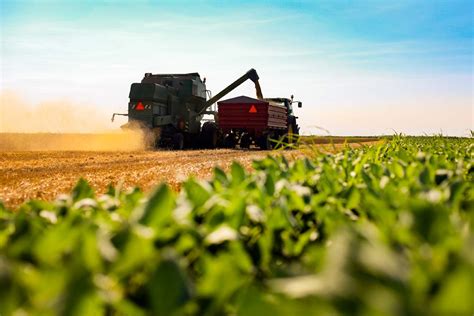 O Que Significa Tornar A Produ O De Alimentos Mais Sustent Vel