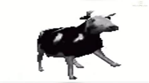 polish cow | Dancing gif, Dancing animals, Cool gifs