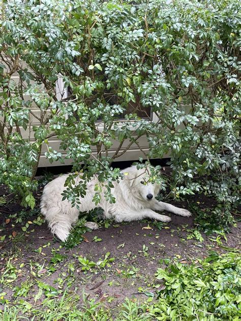 Red Hot Summer Tour Berry Showgrounds The Haven At Berry