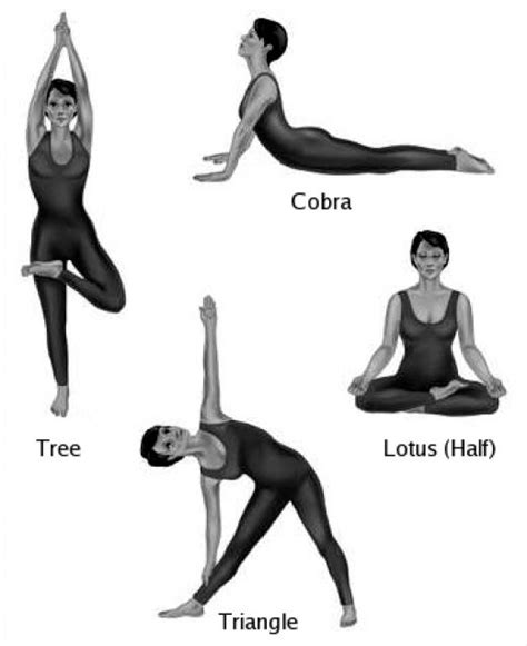 How Do Yoga Exercises | How To Do Yoga | How Do Yoga