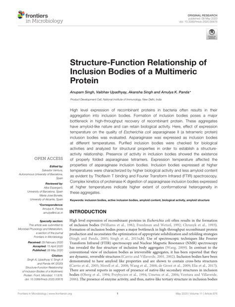 structure function relationship  inclusion bodies
