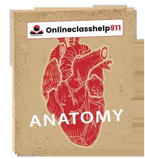 Take My Anatomy & Physiology Class - Online Class Help911