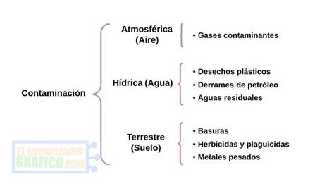 Cuadro Sinoptico De La Contaminaci N Ambiental Brainly Lat