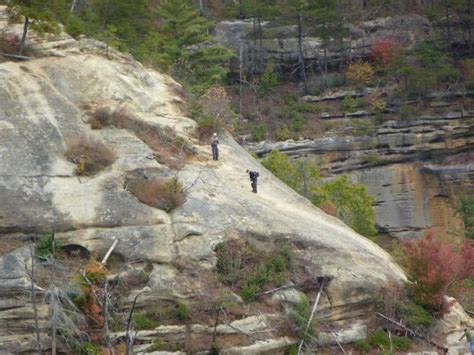 10 Best Hikes In Red River Gorge Hiking Trails Red River Gorge Kentucky Travel Red River