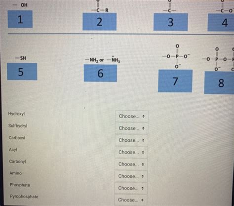 Solved Match The Number With The Correct Functional Group