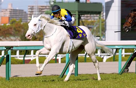 ソダシ｜名馬メモリアル｜競馬情報ならjra Van