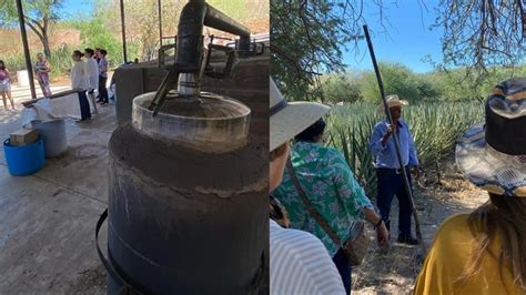 Diario Del Yaqui Ruta Del Bacanora Recorre Encantadores Pueblos Y