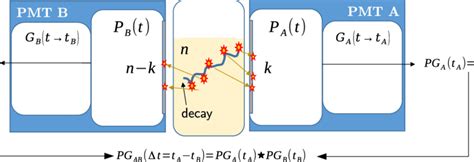 Schematic Description Of A Two Pmt Lsc System The Considered Processes