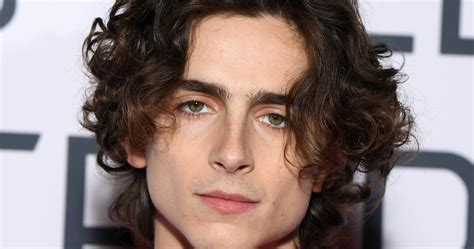 Timothee Chalamet Cast As Bob Dylan Biopic Reactions