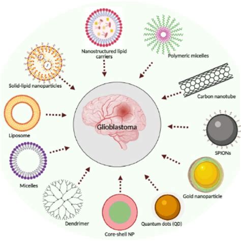 List Of Lipid Based Nanocarriers Under Clinical Trials For Glioblastoma