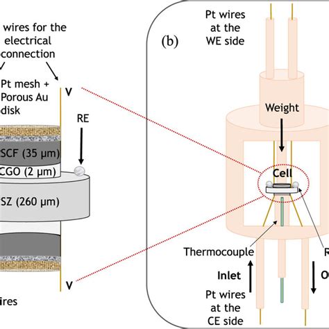 A Schematic Representation Of The Three Electrode Cell And B