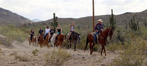 Do you enjoy the outdoors in Phoenix? Then horseback riding is the perfect activity for you ...