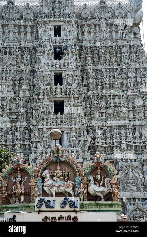 Suchindram Temple at kanyakumari tamilnadu India Stock Photo - Alamy