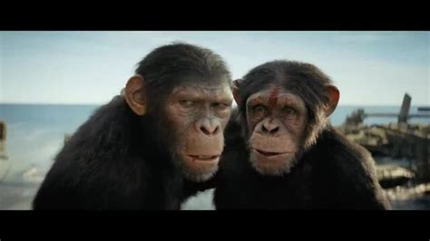 Kingdom Of The Planet Of The Apes Official Trailer Jetzt Ansehen Y