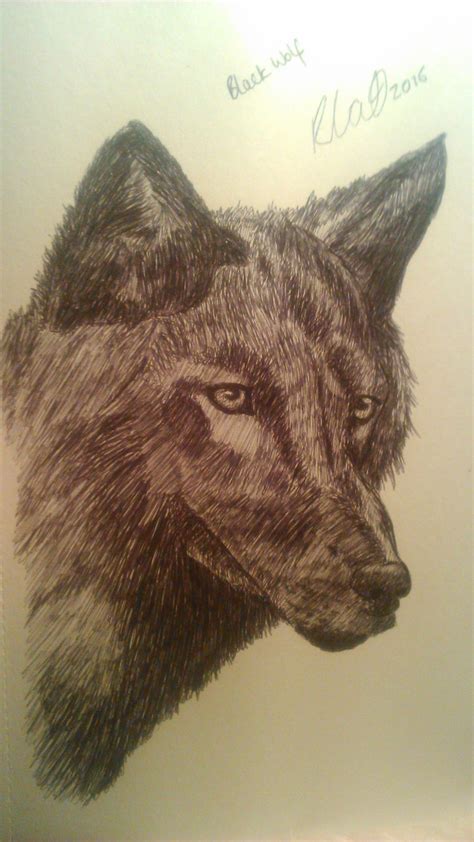 Black Wolf by BekahArt on DeviantArt