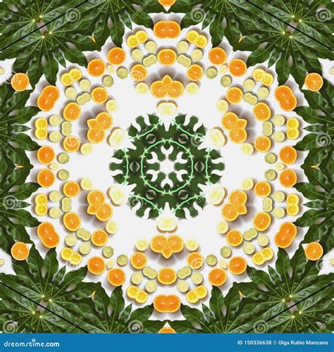 Fruits And Vegetables In Mandala Stock Illustration Illustration Of