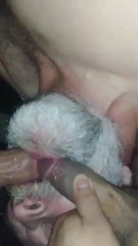 Free Double Dicked Gay Porn Videos XHamster