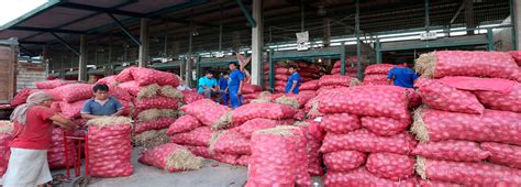 Ingresaron más de 8 700 toneladas de alimentos a mercados mayoristas