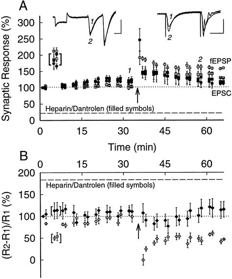 Attenuation Of Paired Pulse Facilitation Associated With Synaptic