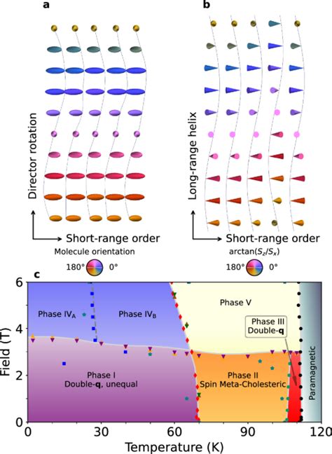 Reentrant Multiple Q Magnetic Order And A “spin Meta Cholesteric” Phase