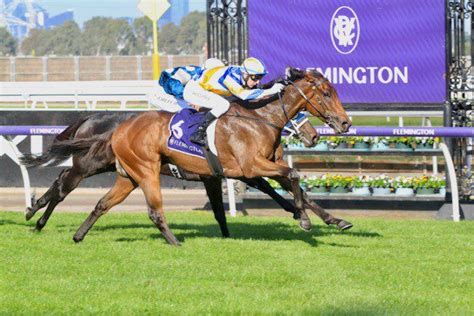 Above and Beyond at Flemington - Simon Zahra Racing