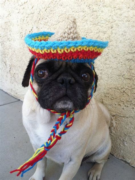 Sombrero Sombrero For Dogs Pug Sombrero Cinco De Mayo Hats For Dogs