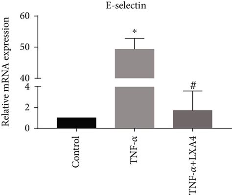 LXA4 alleviated TNF α induced damage and inhibited ROS generation in