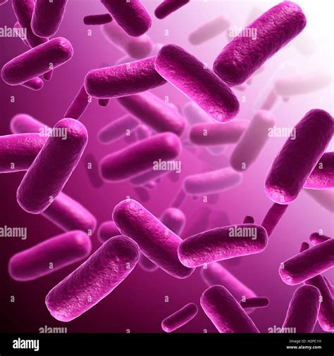 Illustration of rod-shaped bacteria Stock Photo - Alamy